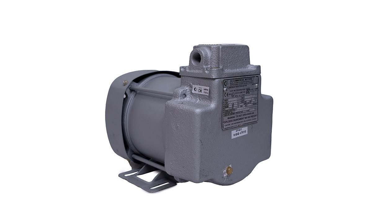 FLAMEPROOF INDUCTION MOTOR
